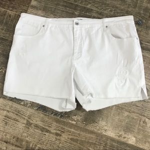 terra & sky shorts